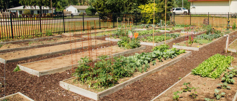 Learn & Grow – Our Mission Focus