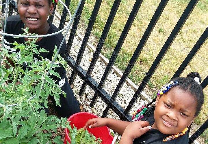 A Seed of Self-Sustainability