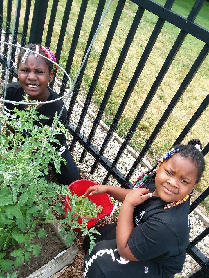A Seed of Self-Sustainability